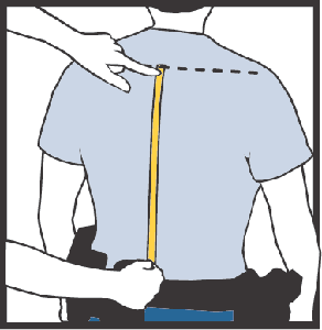 Back Size: